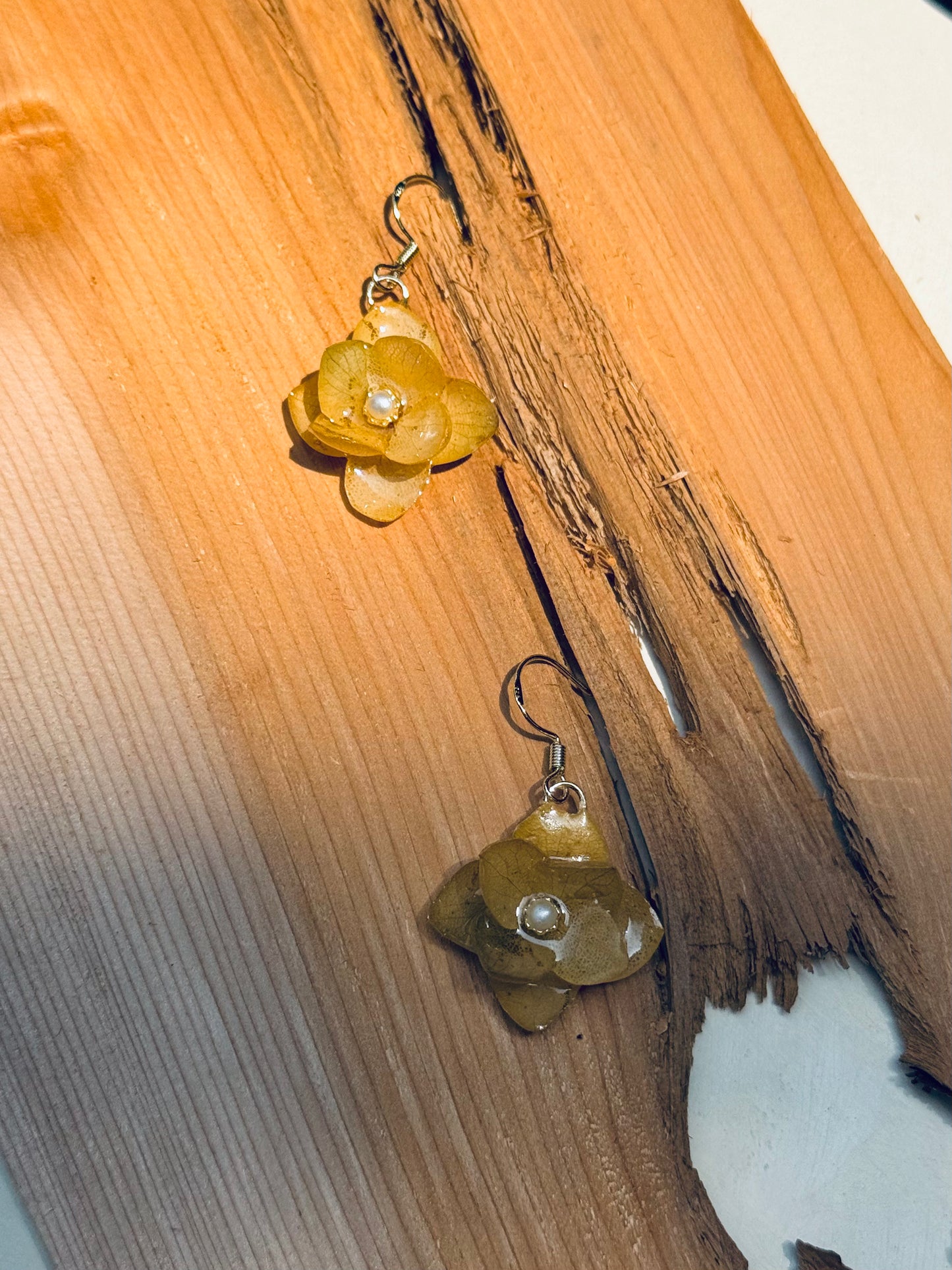 Golden Hydrangea Earrings – Real Flower Jewelry | 14K Gold Hooks