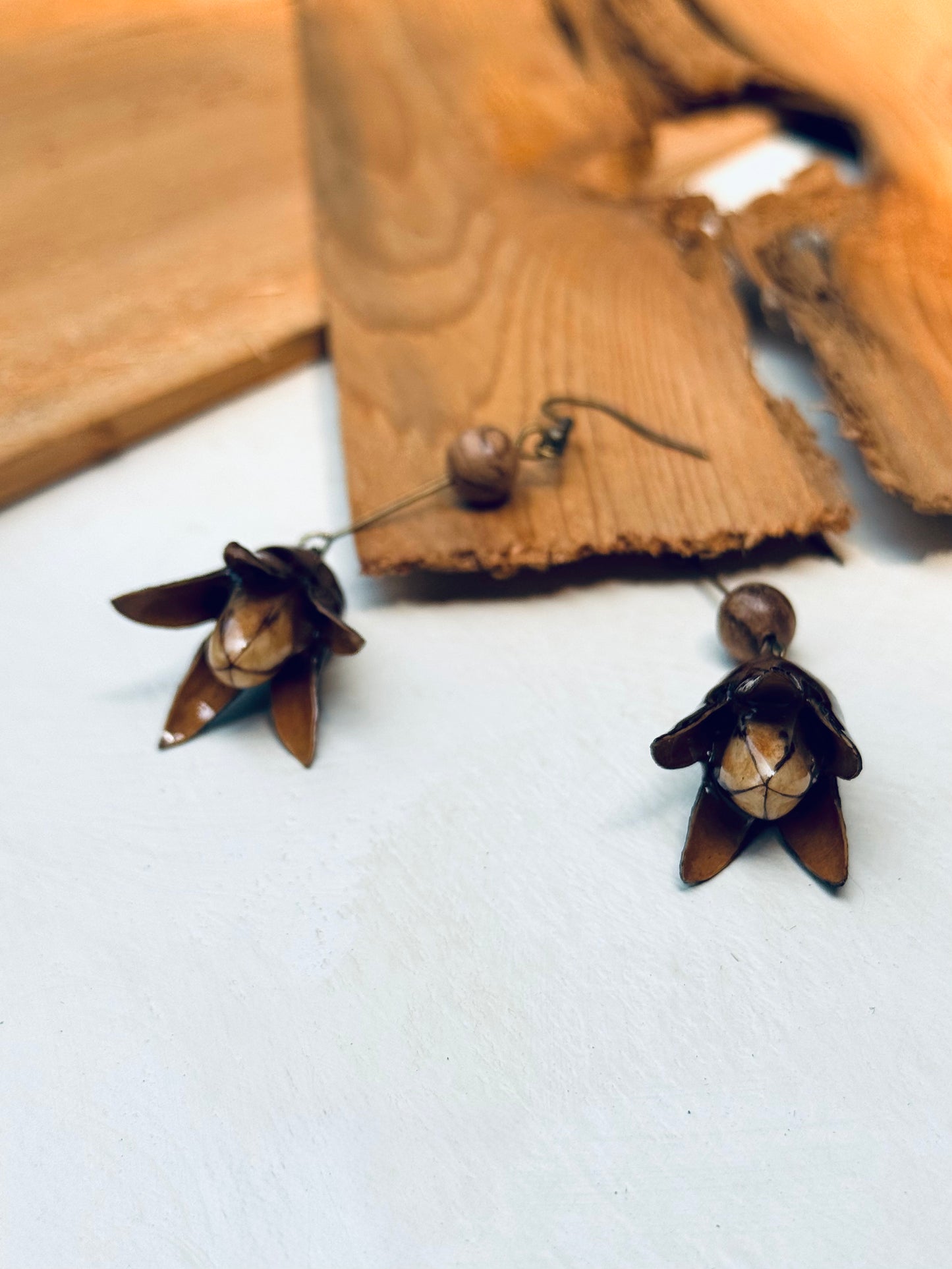 Toon Fruit Drop Earrings – Wild & Earthy Elegance