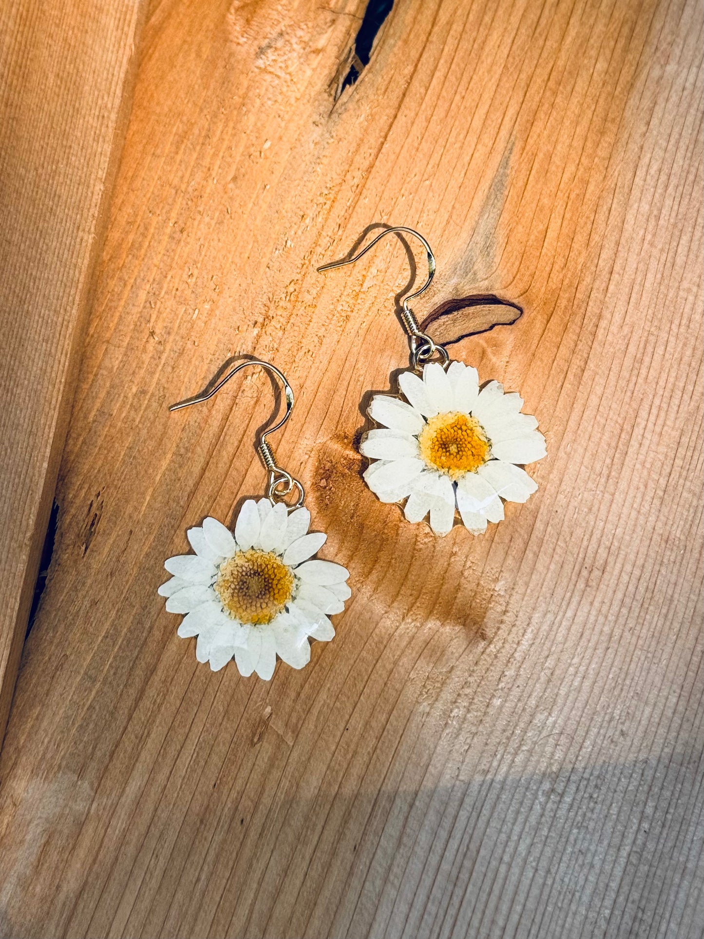 Natural Daisy Earrings – 14K Gold Hook