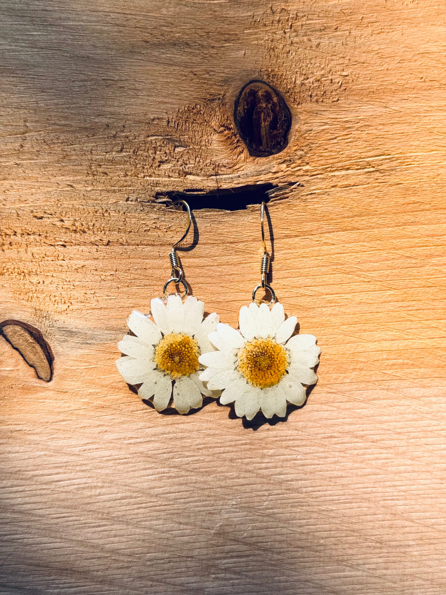 Natural Daisy Earrings – 14K Gold Hook