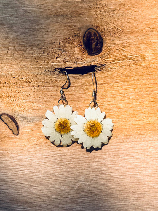 Natural Daisy Earrings – 14K Gold Hook