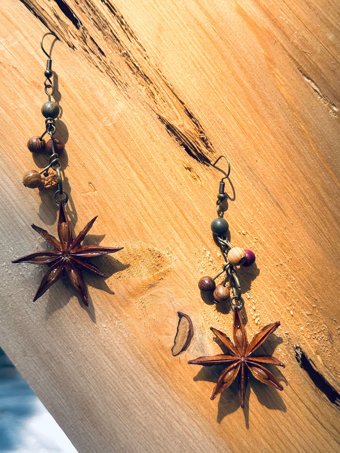 🌿 Nature Totem Earrings