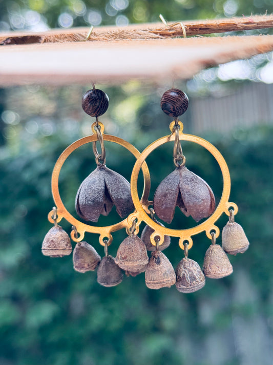 Smiling Seed & Bell Pod Earrings – Natural Boho Charm