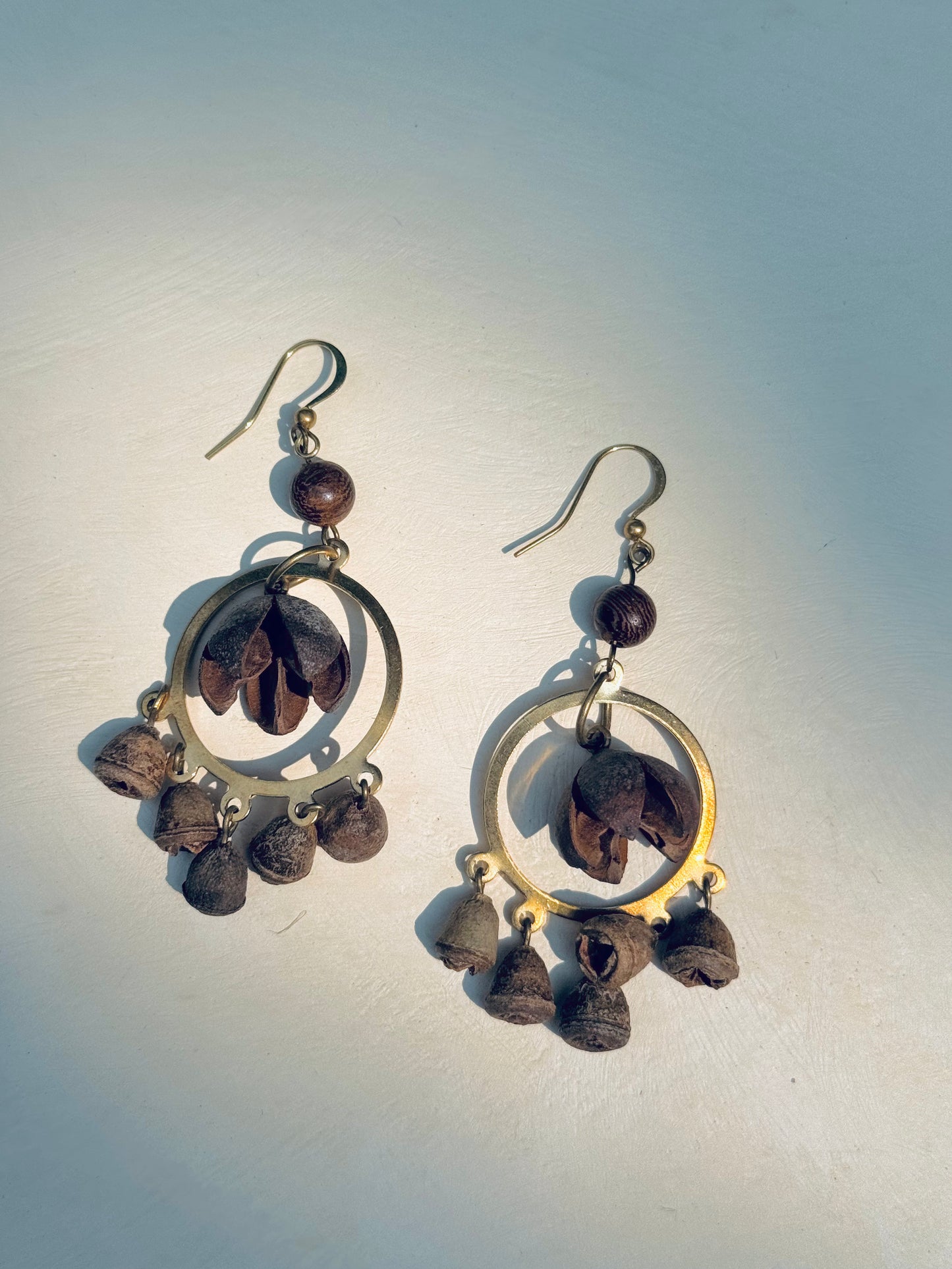 Smiling Seed & Bell Pod Earrings – Natural Boho Charm