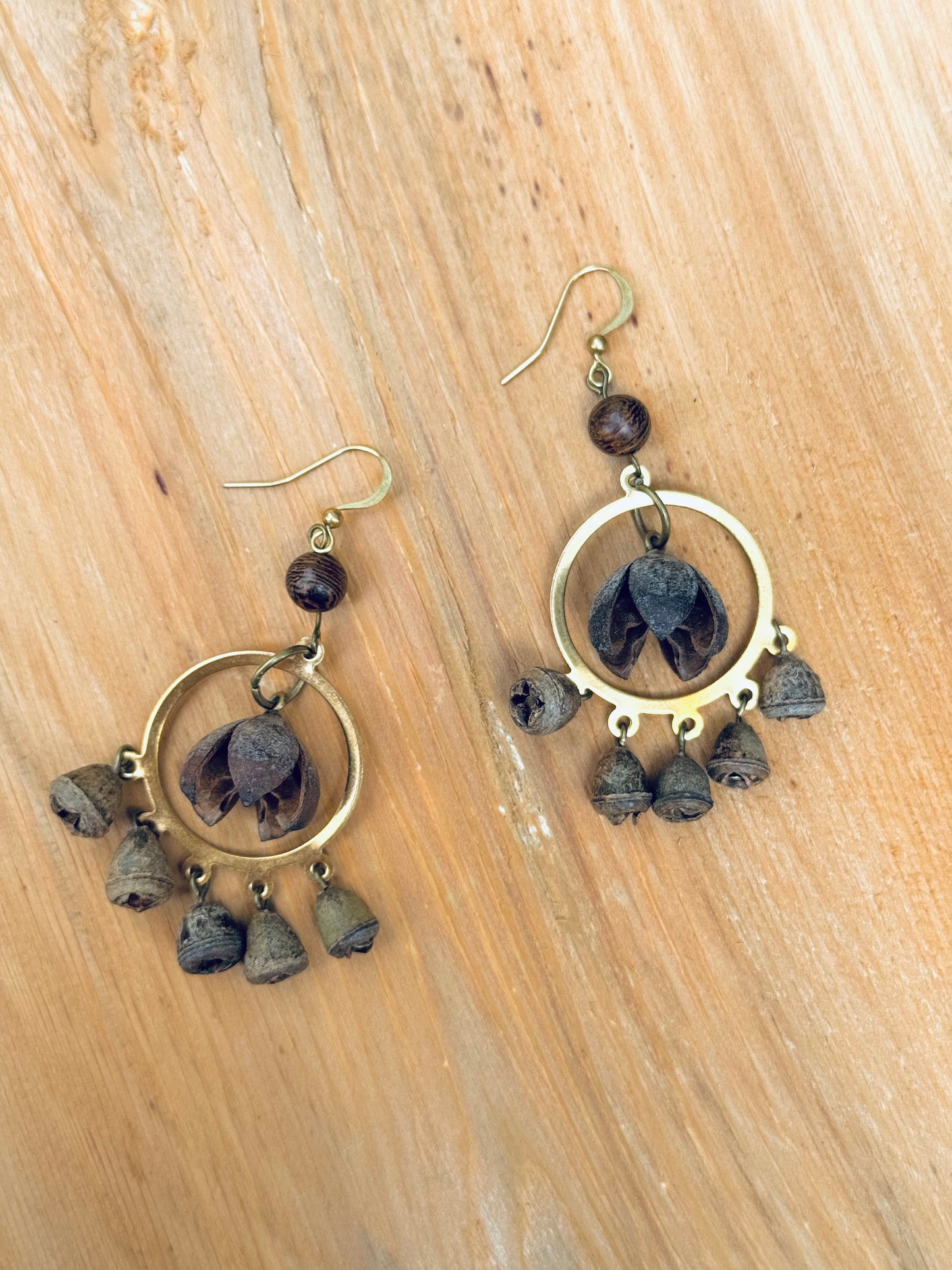 Smiling Seed & Bell Pod Earrings – Natural Boho Charm