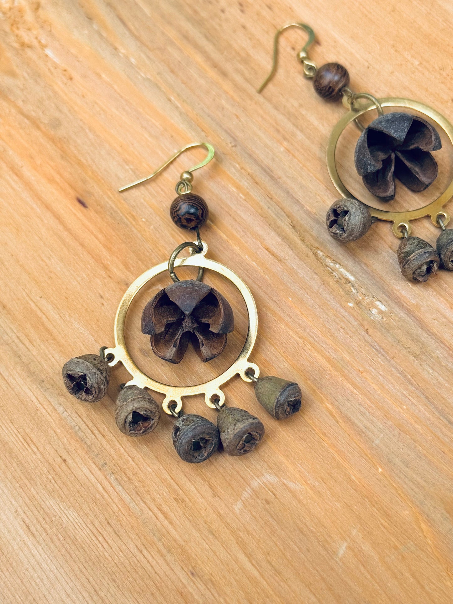 Smiling Seed & Bell Pod Earrings – Natural Boho Charm