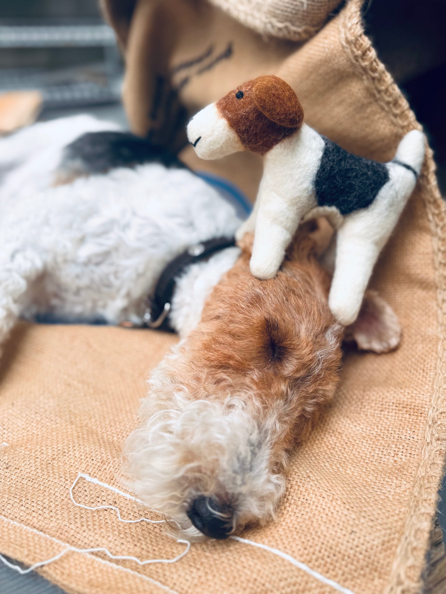 🐶 Handmade Felted Wool Wire Fox Terriers – 3 Sizes